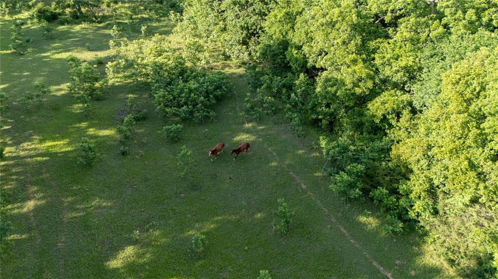 38956 Highway 39 Property Photo 25