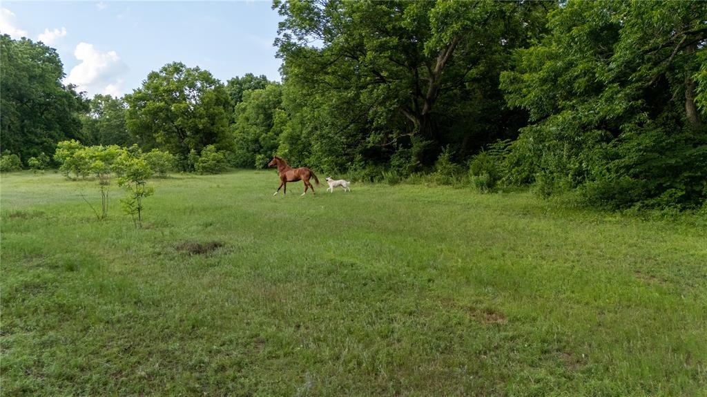 38956 Highway 39 Property Photo 28