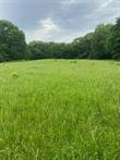 E 136 Road Property Photo 9