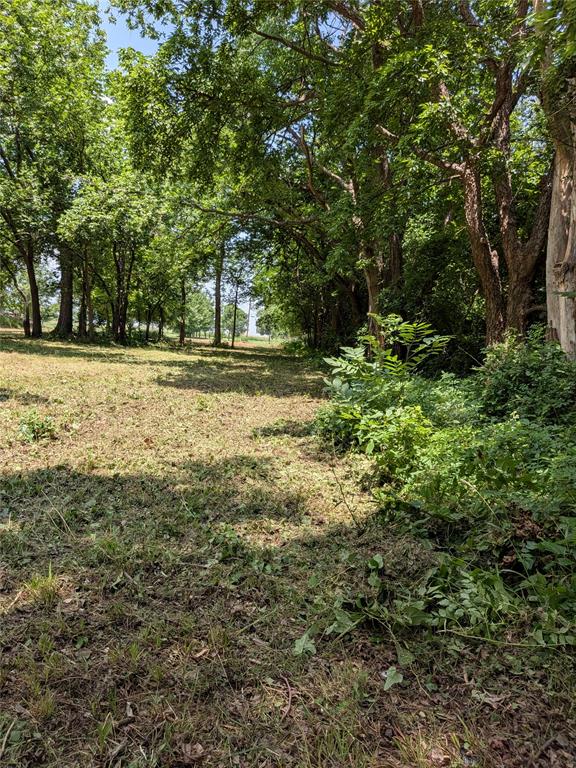 W Washington Avenue Property Photo 15