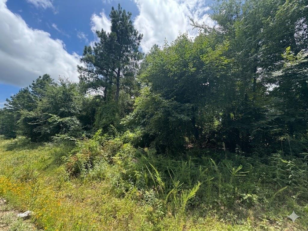 18 Boulder Path Property Photo 2