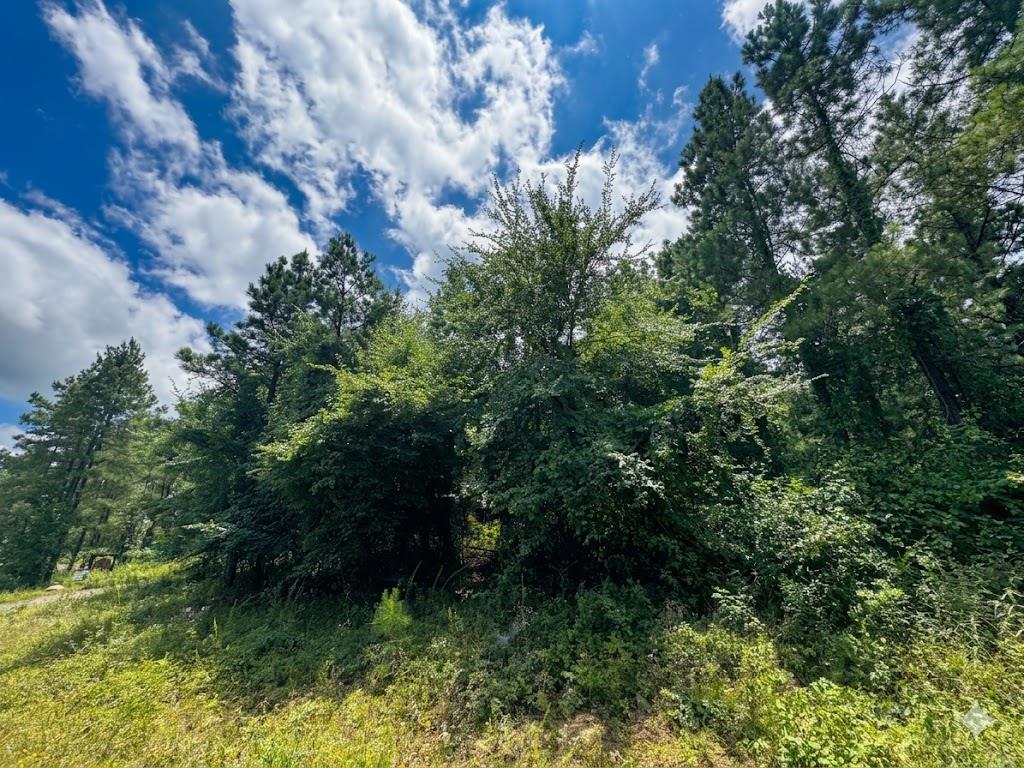18 Boulder Path Property Photo 3