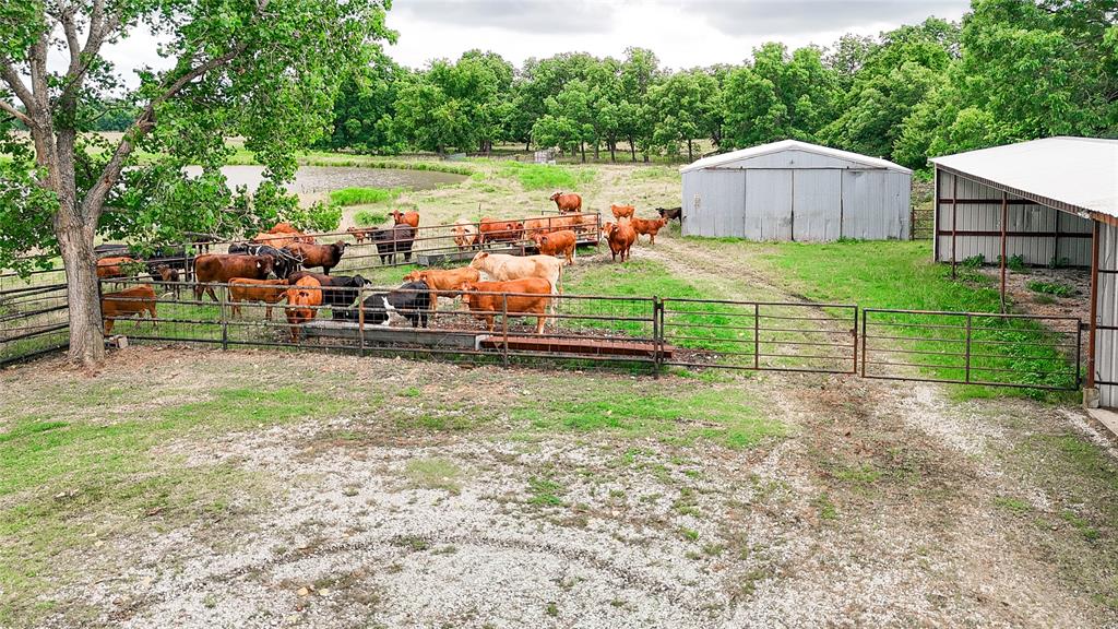 7489 County Road 1620 Property Photo 31