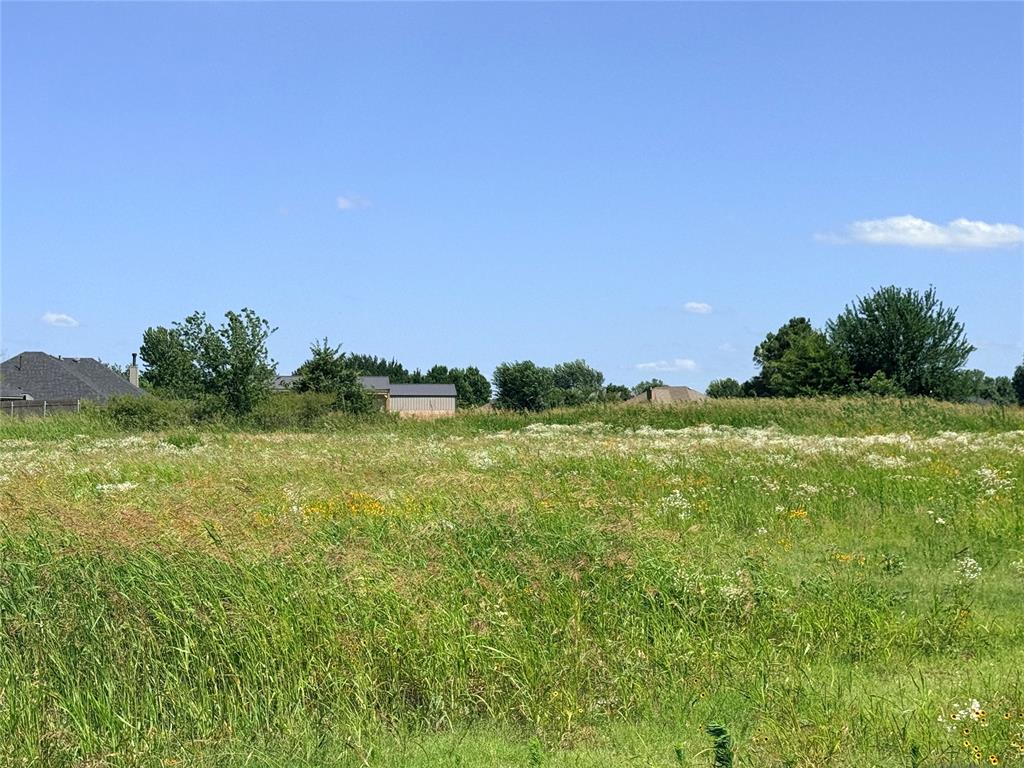 4431 Largo Property Photo 11