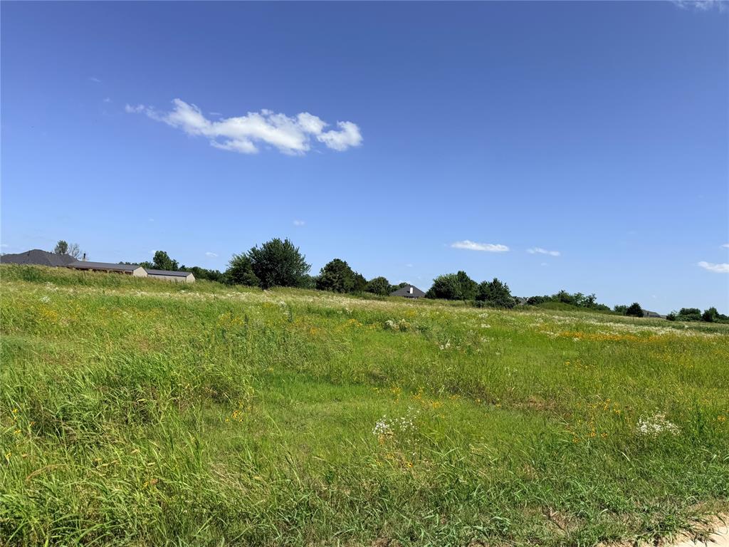 4431 Largo Property Photo 12