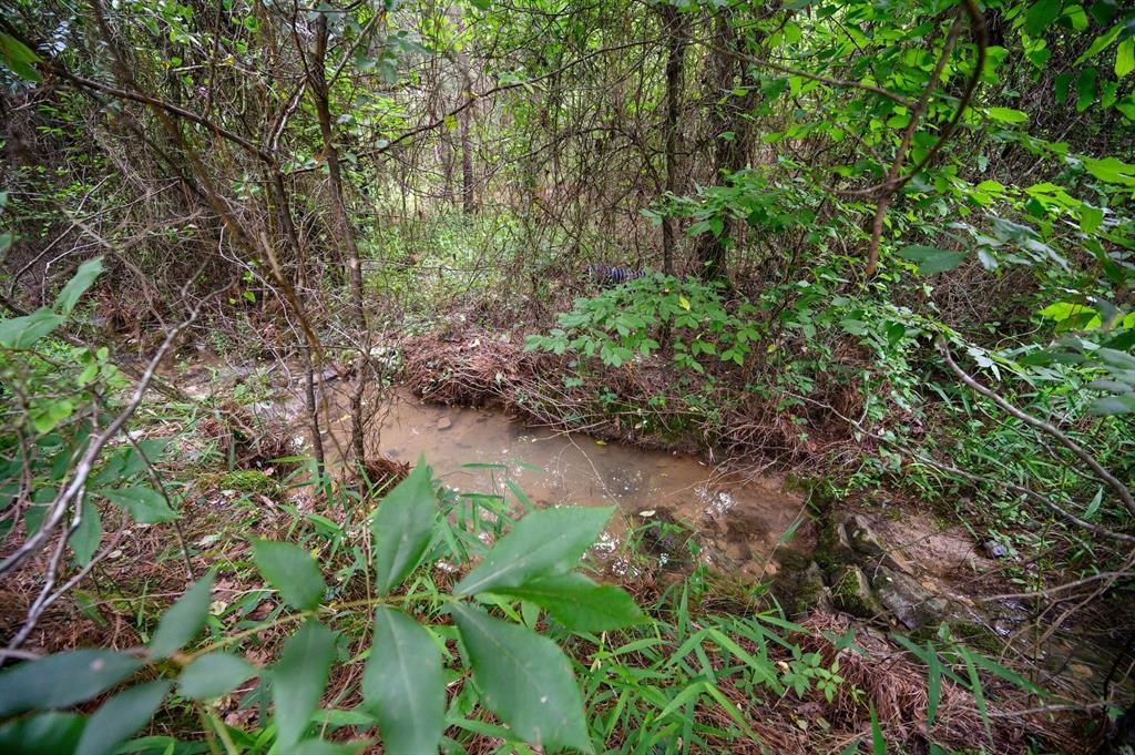 32 Cedar Tree Trail Property Photo 35