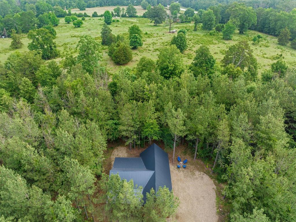 95 Shade Tree Trail Property Photo 29