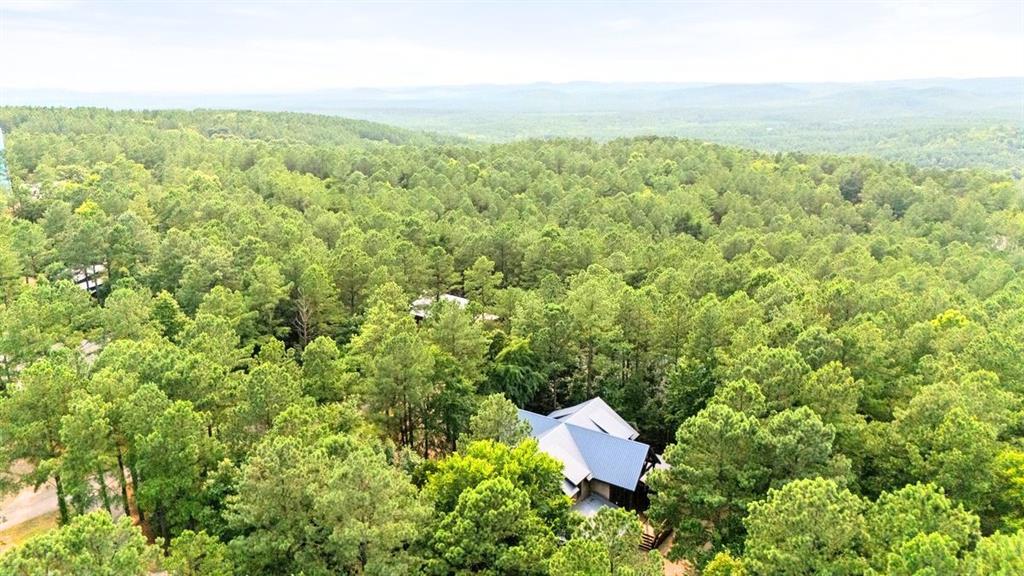 32 Hickory Leaf Trail Property Photo 34
