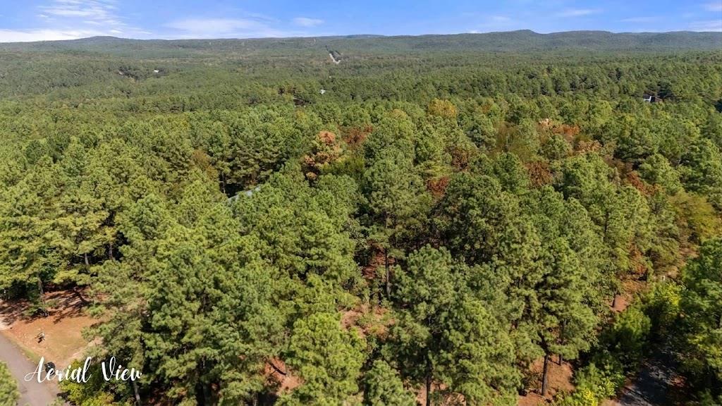 32 Hickory Leaf Trail Property Photo 34