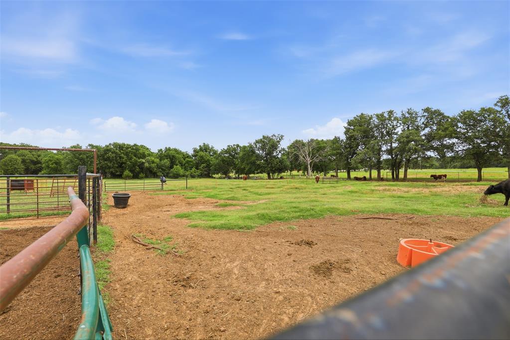 20229 Gaddy Road Property Photo 42