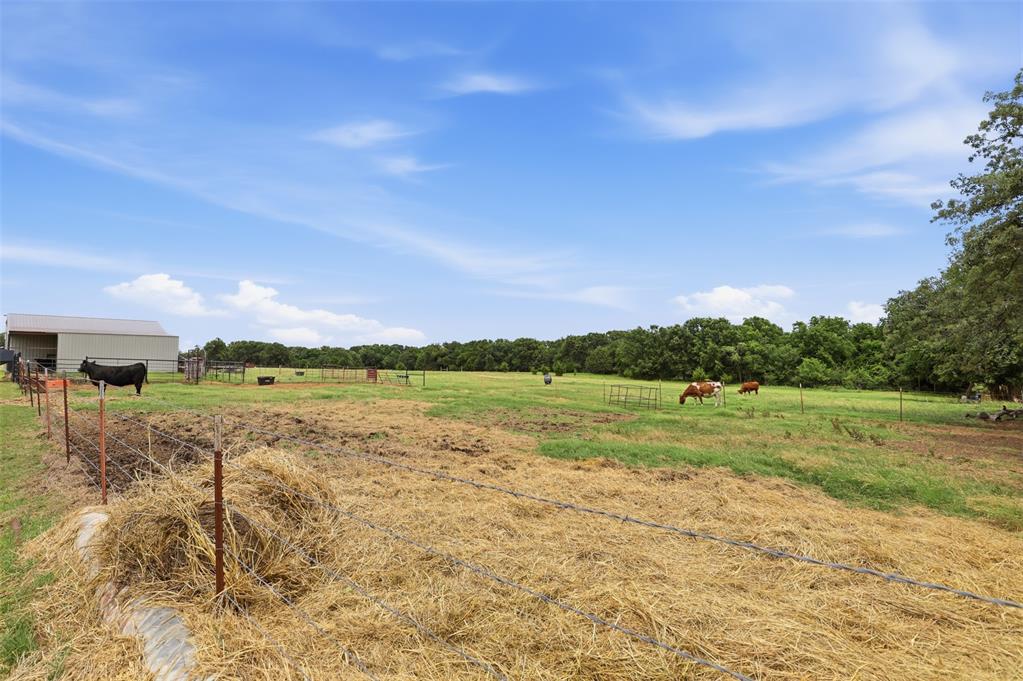 20229 Gaddy Road Property Photo 43