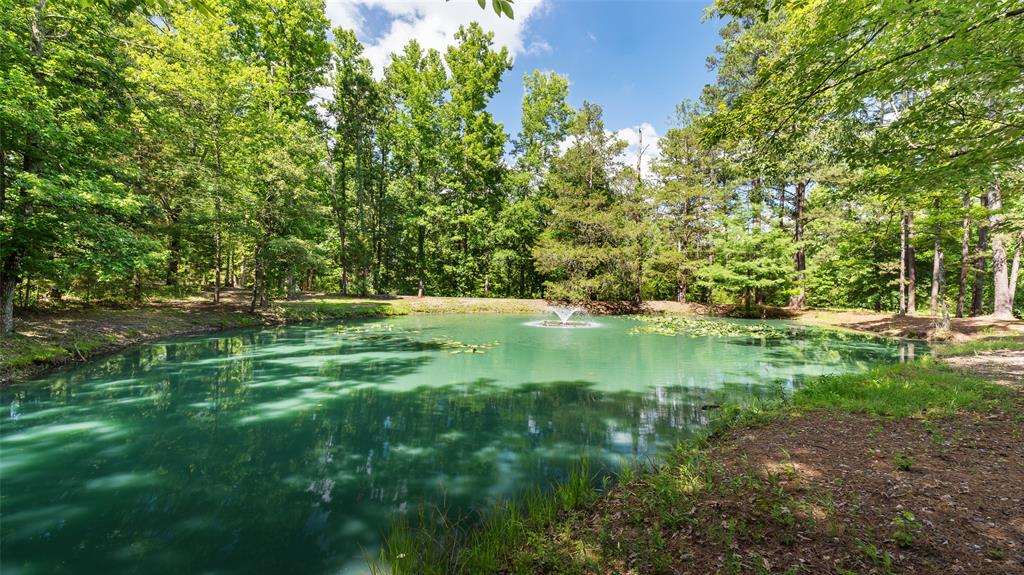 219 Deer Ridge Trail Property Photo 28