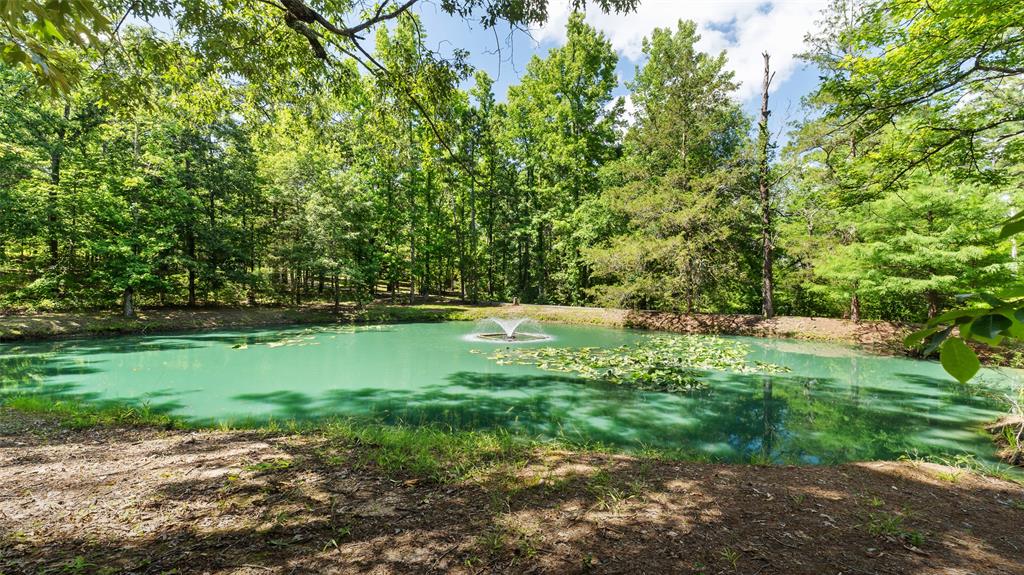 219 Deer Ridge Trail Property Photo 29
