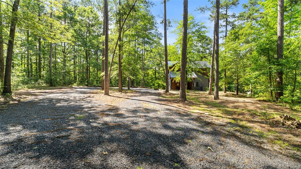 219 Deer Ridge Trail Property Photo 30
