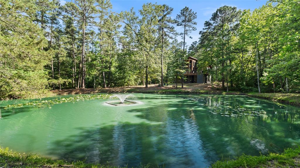 219 Deer Ridge Trail Property Photo 35