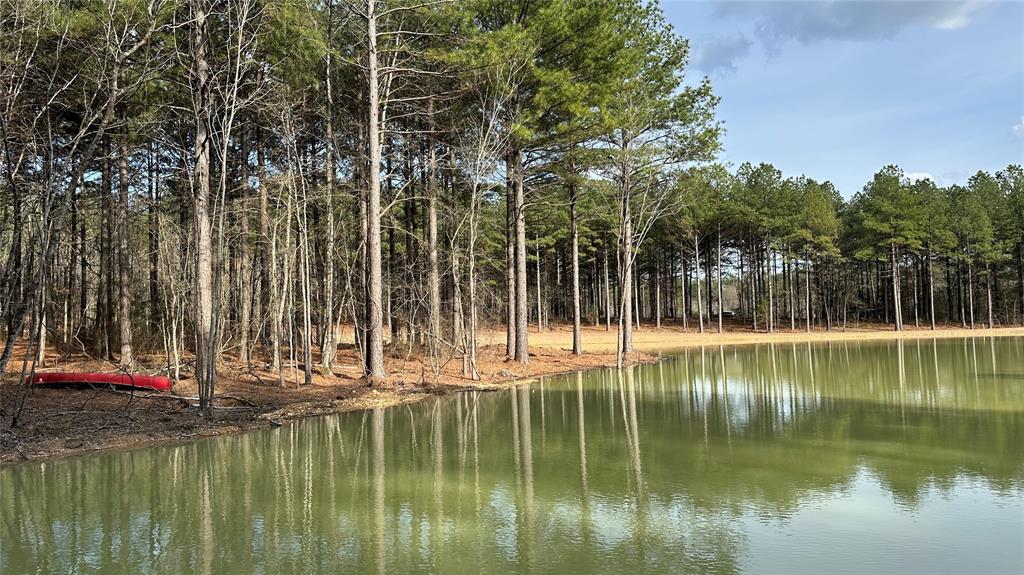 00 Cedar Hills Lakes Property Photo 4