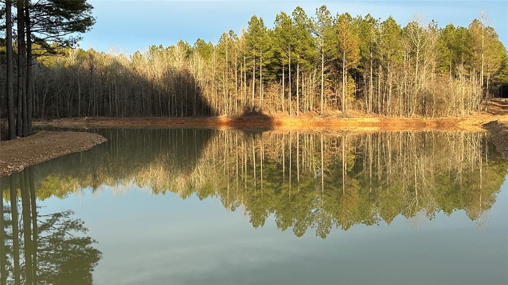 00 Cedar Hills Lakes Property Photo 7