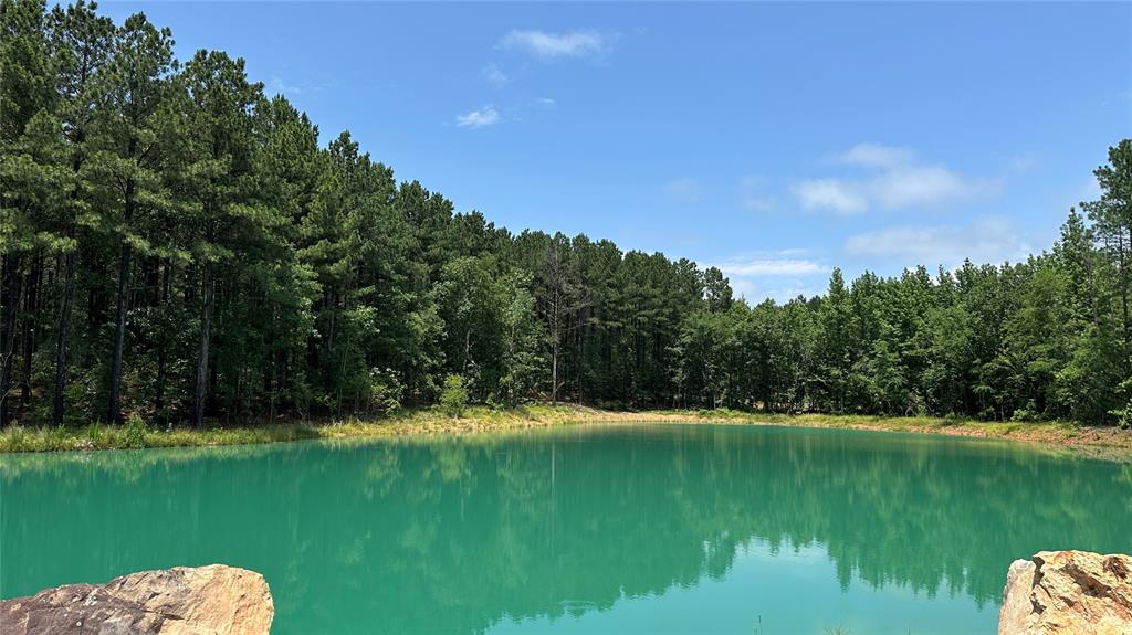 00 Cedar Hills Lakes Property Photo 8