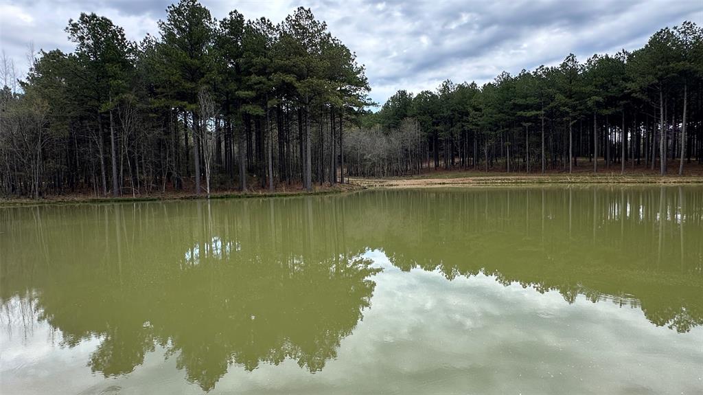 00 Cedar Hills Lakes Property Photo 9