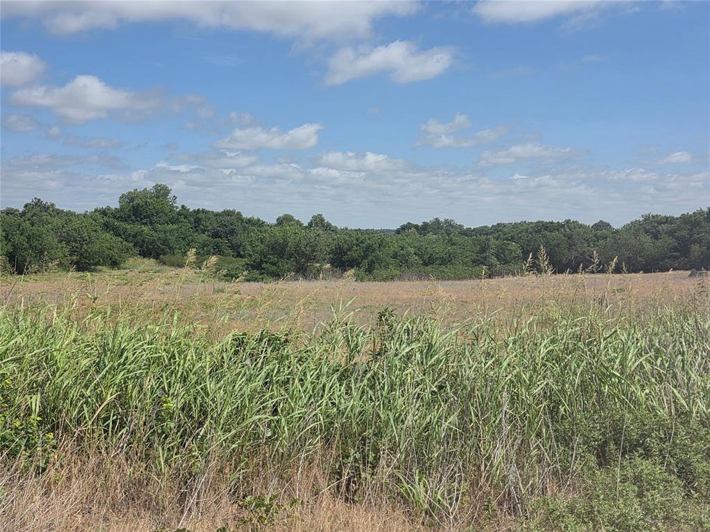 0000 County Road 1420 Property Photo 3