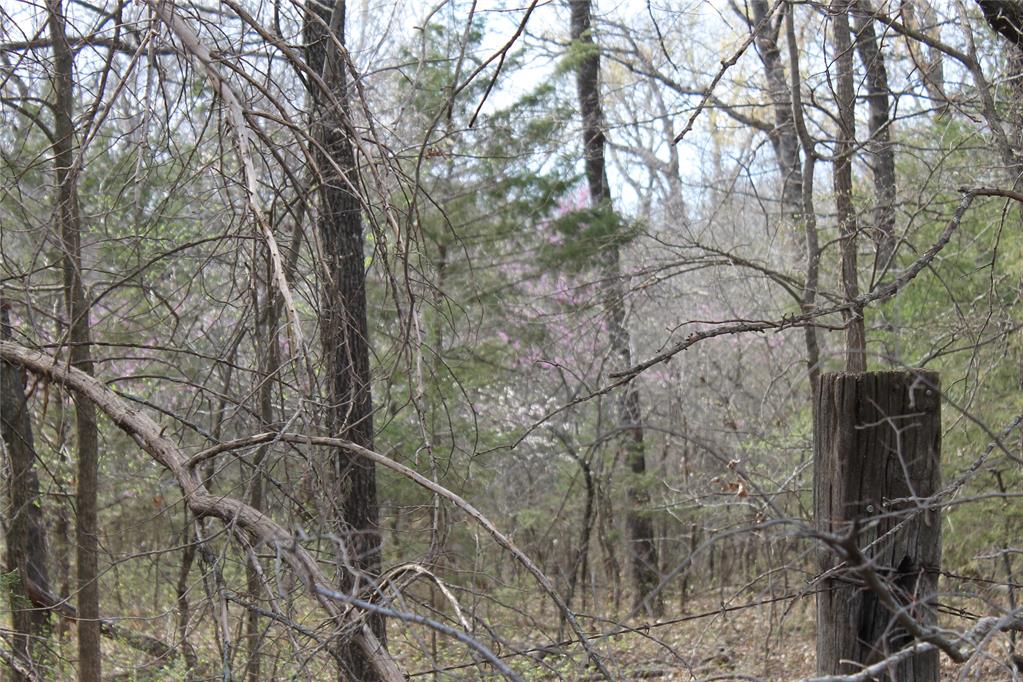 Whispering Oaks Road Property Photo 3