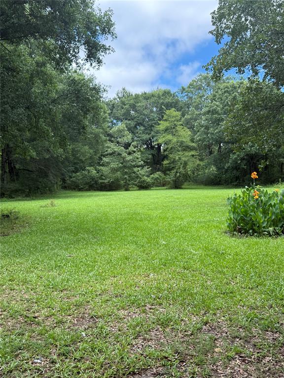 913 W Sherry Lane Property Photo 10