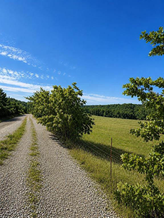 1234709 Property Photo 2