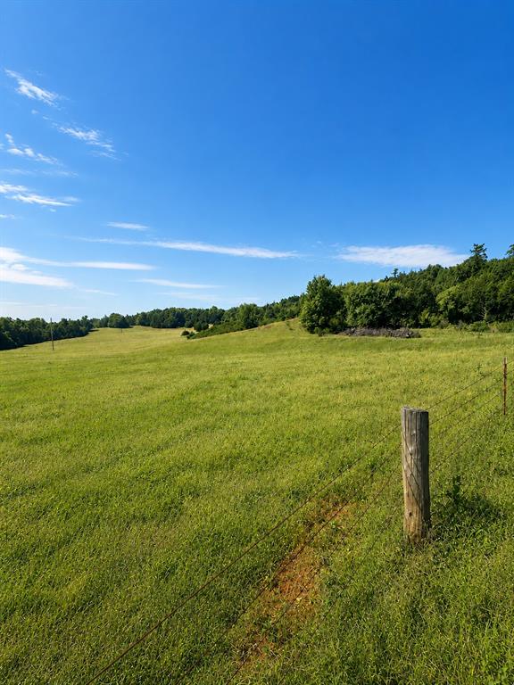 1234709 Property Photo 4