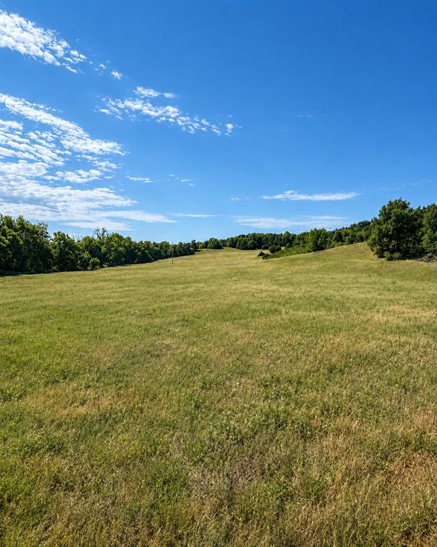 1234709 Property Photo 5