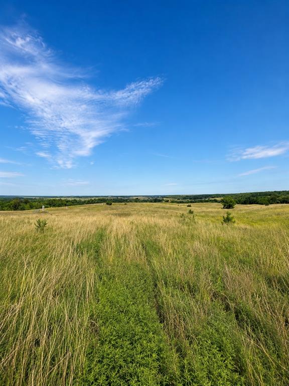 1234736 Property Photo 2