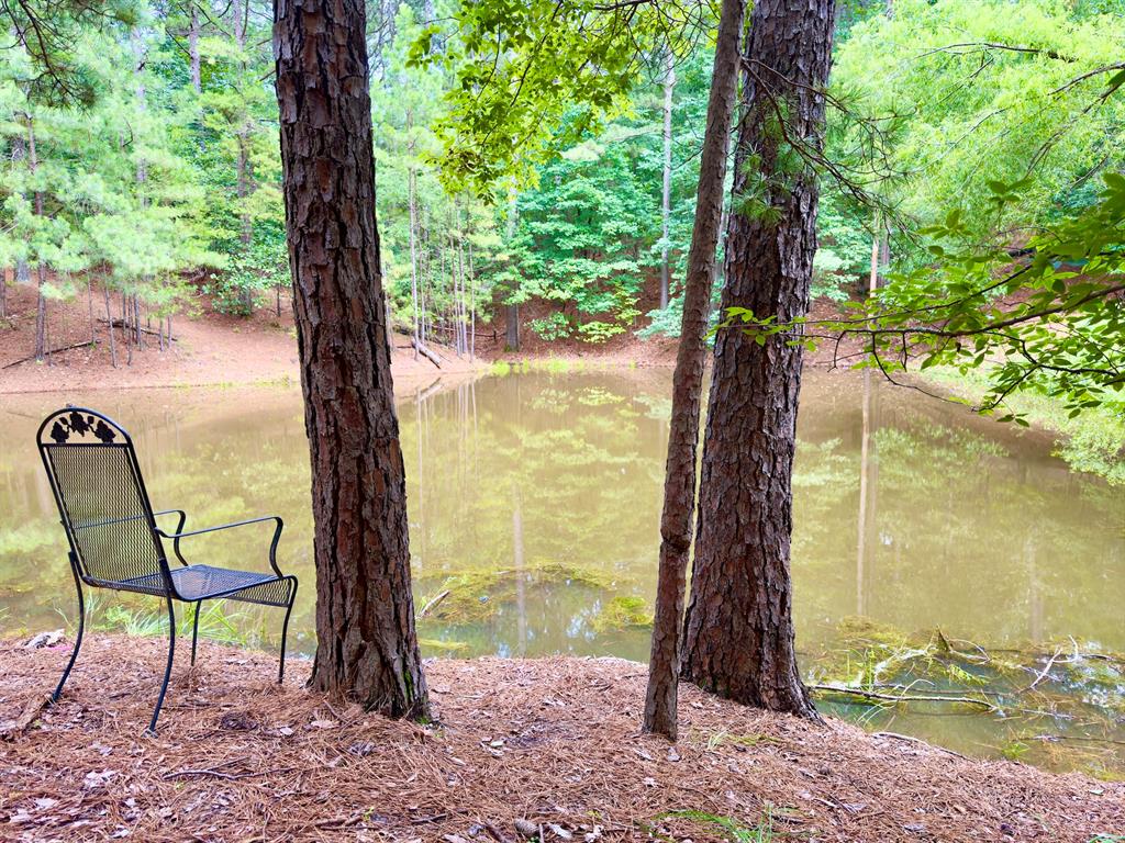 94 Treble Hook Property Photo 35