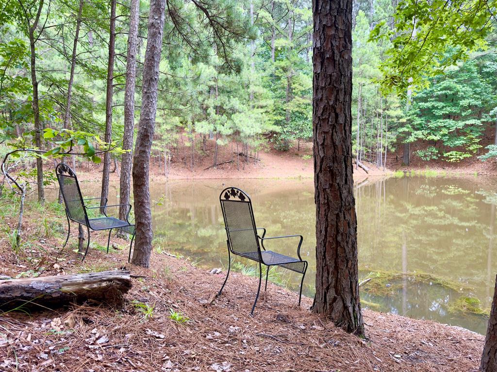 94 Treble Hook Property Photo 41