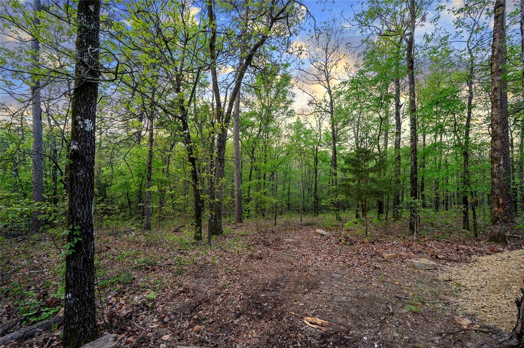 967 Catfish Bay Property Photo 9