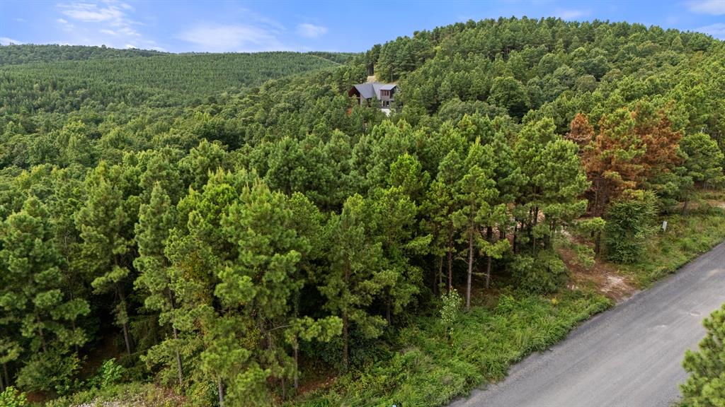 584 Timberline Trail Property Photo 1