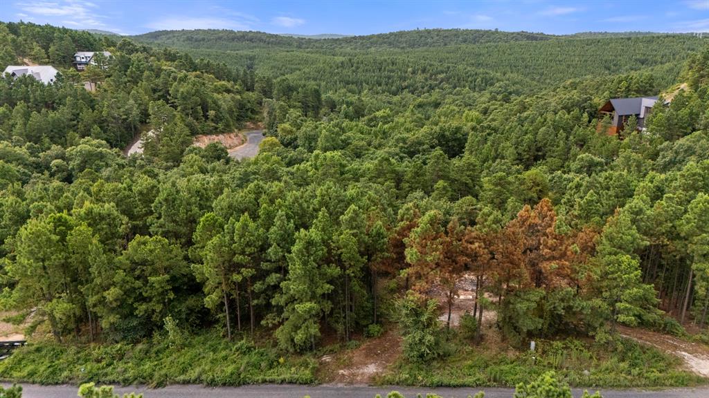 584 Timberline Trail Property Photo 3