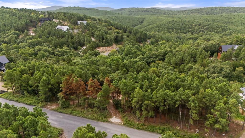 584 Timberline Trail Property Photo 4