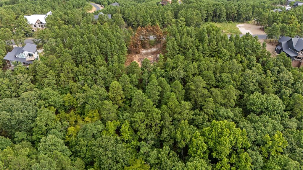 584 Timberline Trail Property Photo 6
