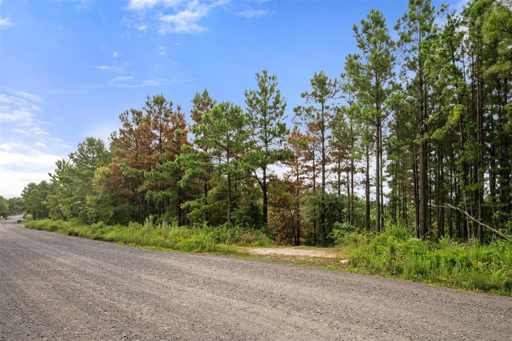 584 Timberline Trail Property Photo 13