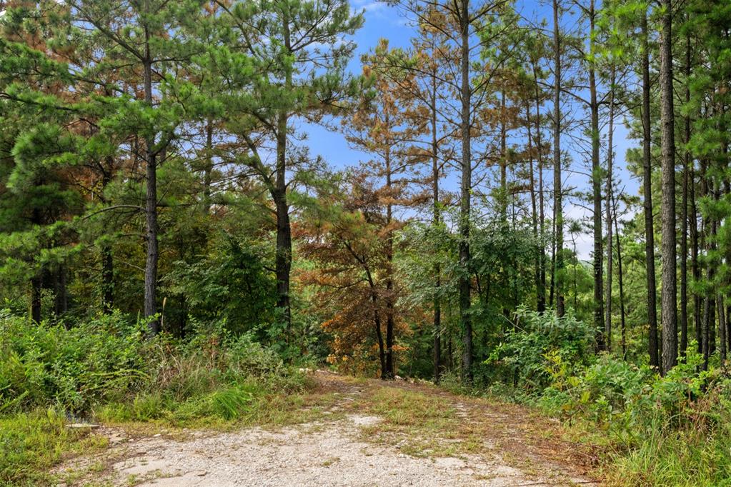 584 Timberline Trail Property Photo 14