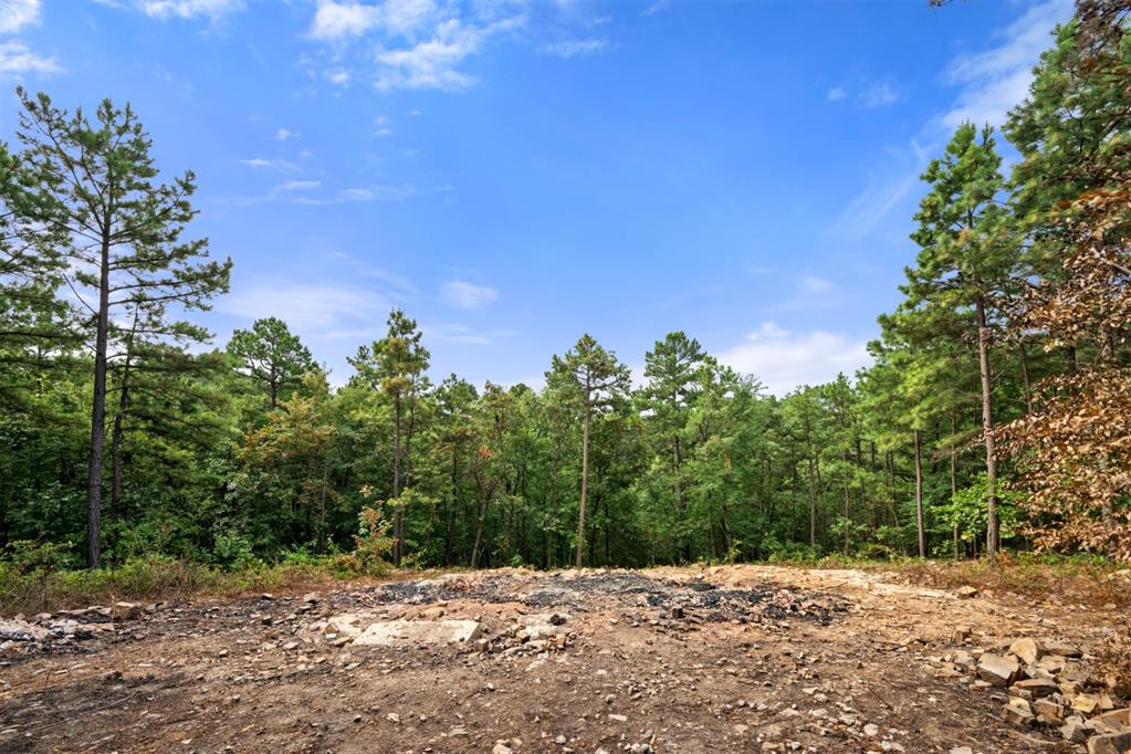 584 Timberline Trail Property Photo 15