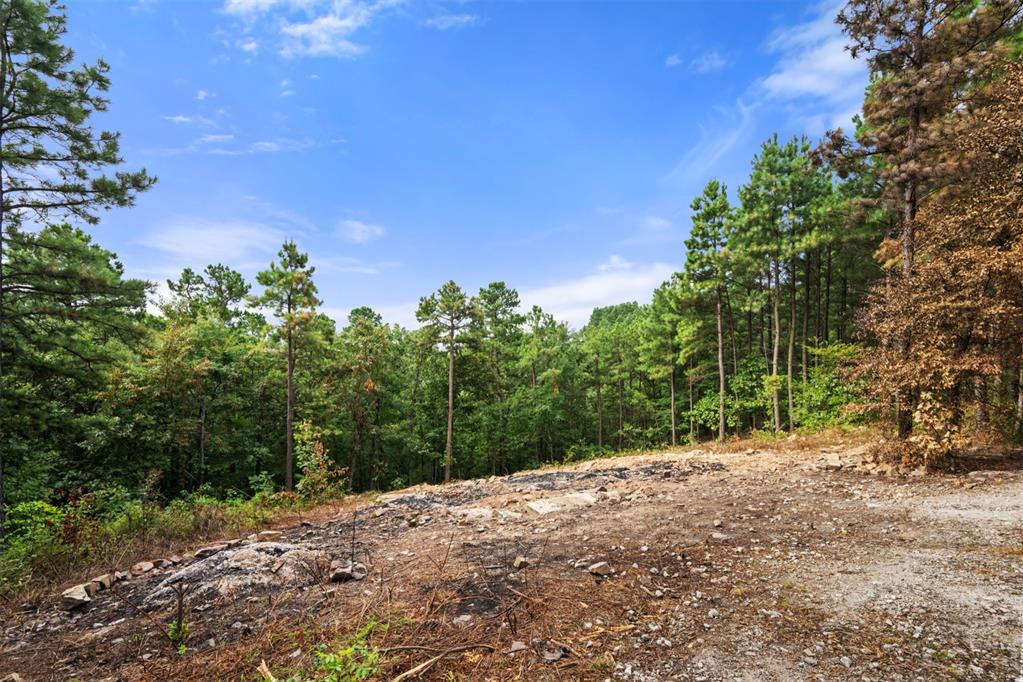 584 Timberline Trail Property Photo 16