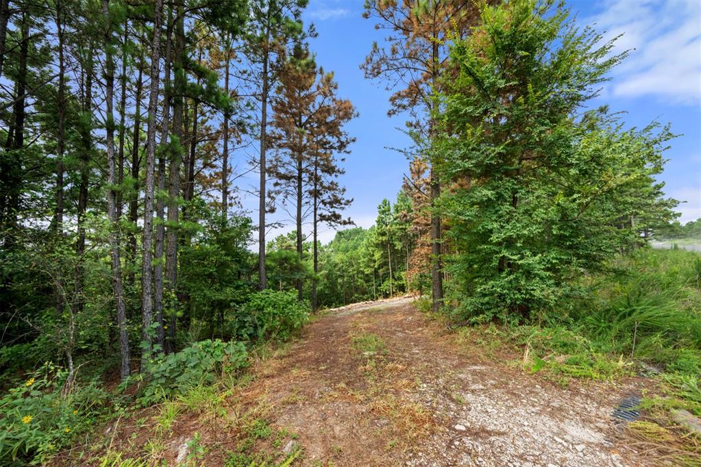 584 Timberline Trail Property Photo 17