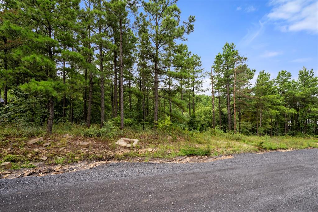 796 Timberline Trail Property Photo 12