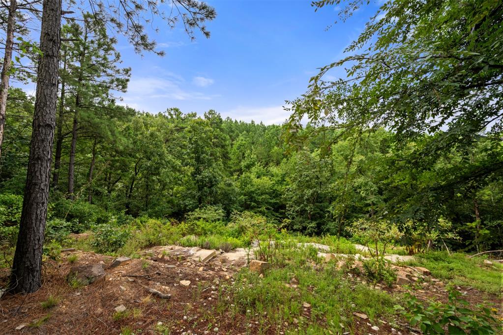 796 Timberline Trail Property Photo 14