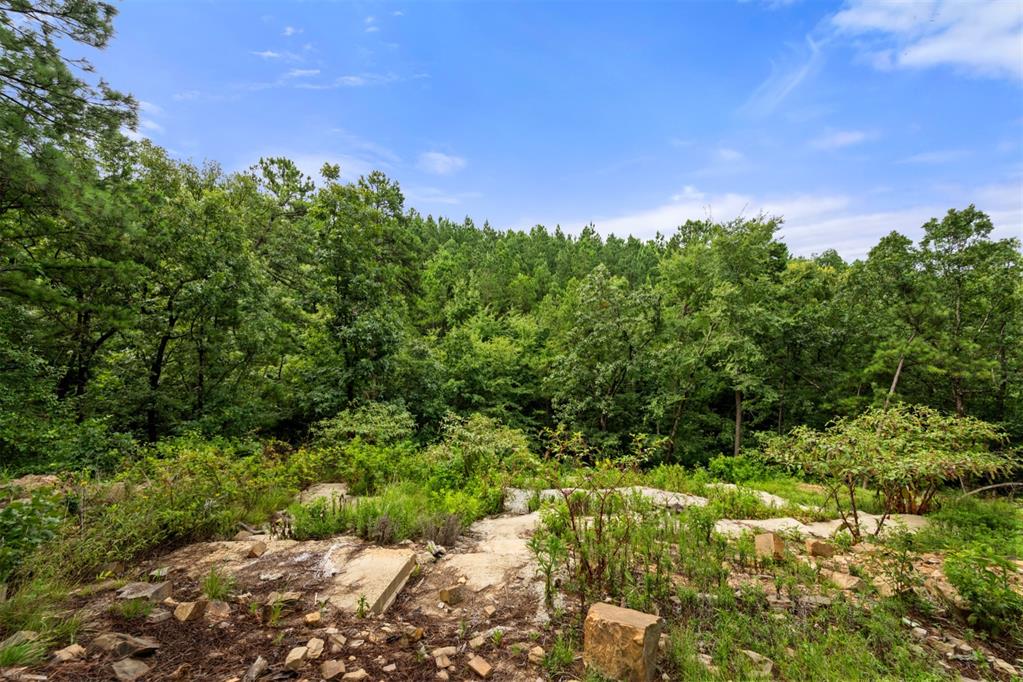 796 Timberline Trail Property Photo 15