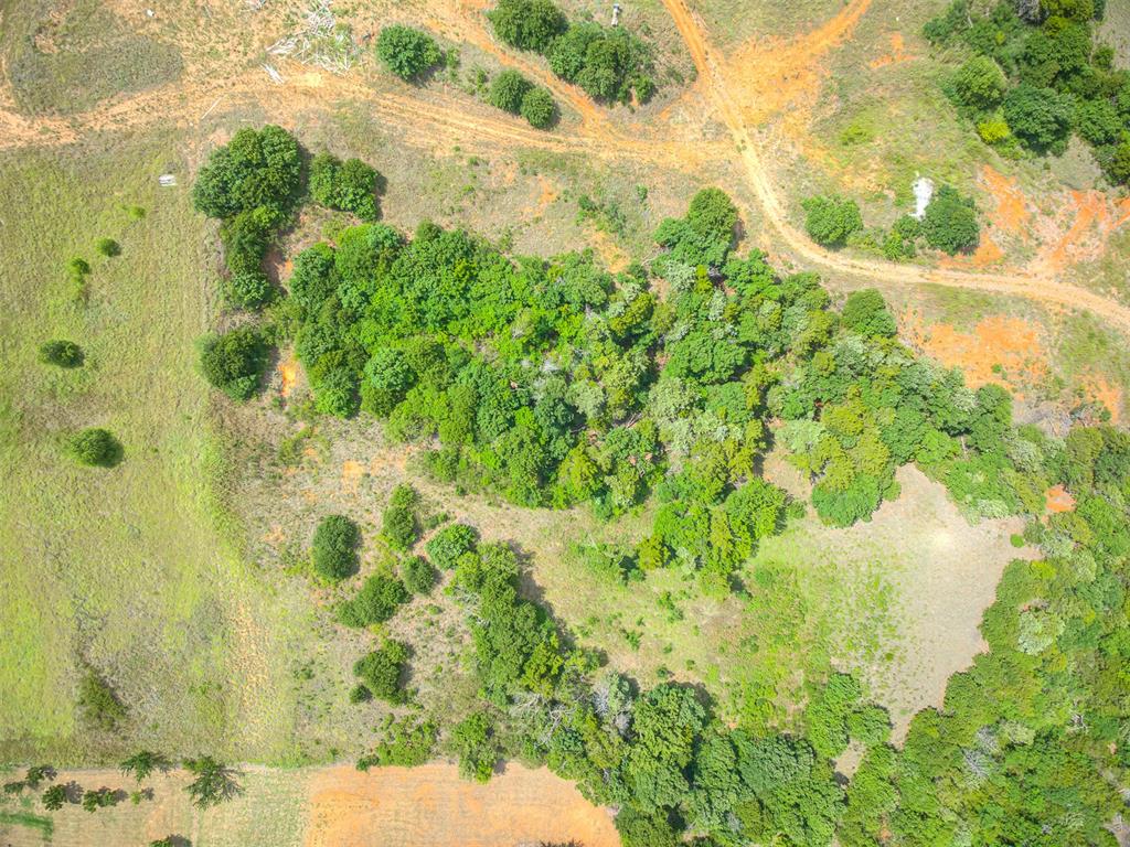 6125 Us Hwy 281 S Property Photo 7