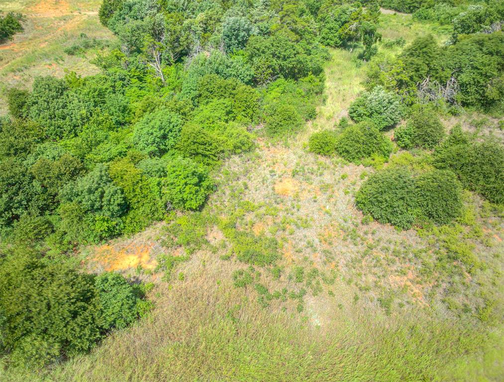 6125 Us Hwy 281 S Property Photo 15
