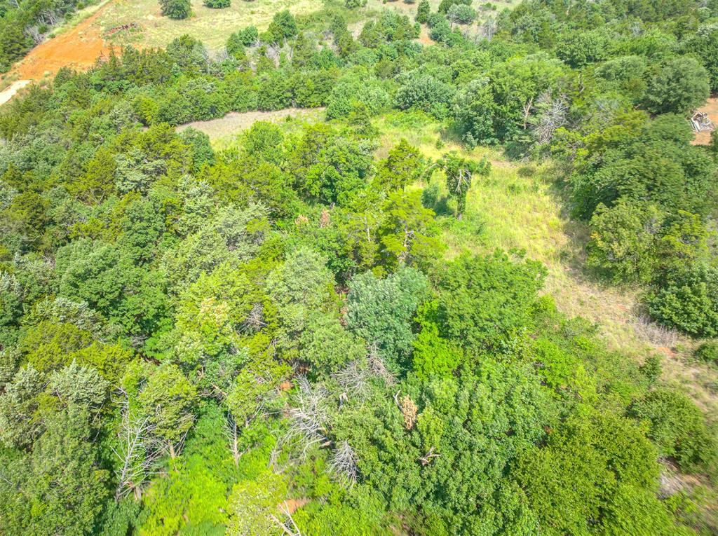 6125 Us Hwy 281 S Property Photo 17