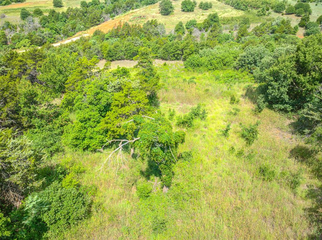 6125 Us Hwy 281 S Property Photo 21