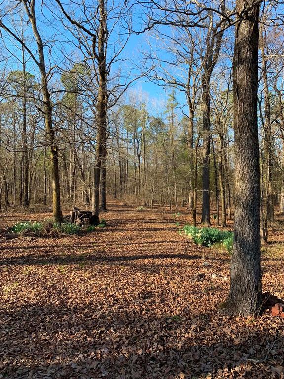 1251 Joe Hough Road Property Photo 3